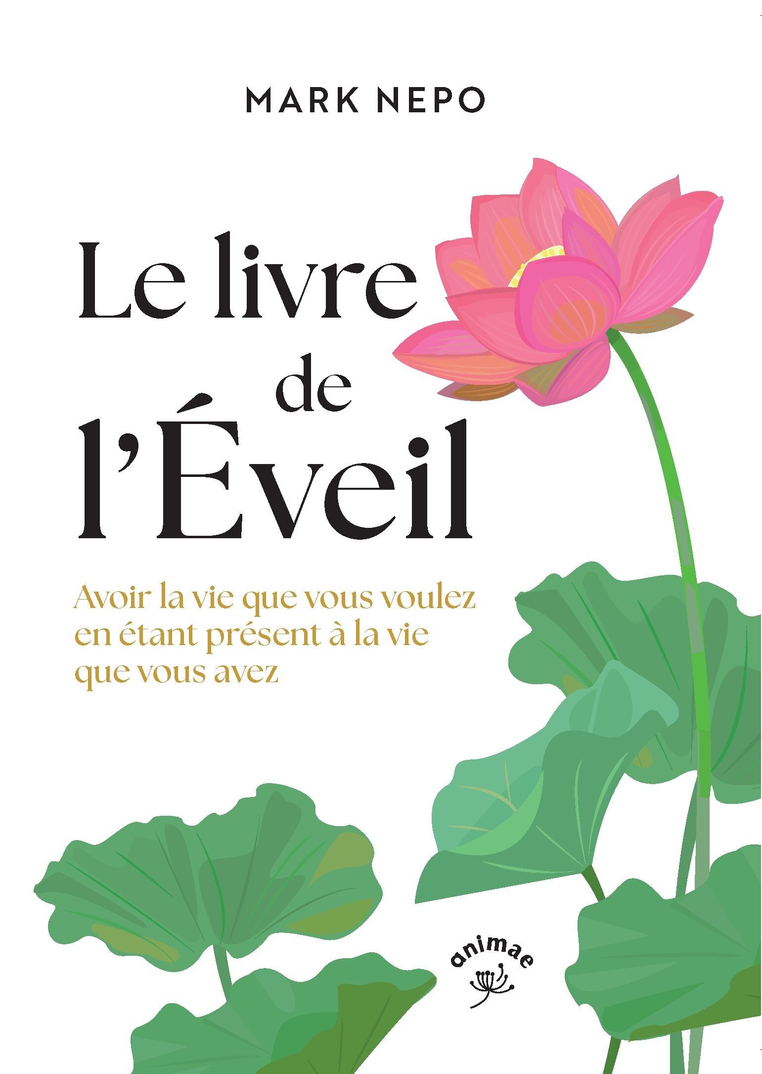 Buch: Das Buch des Erwachens