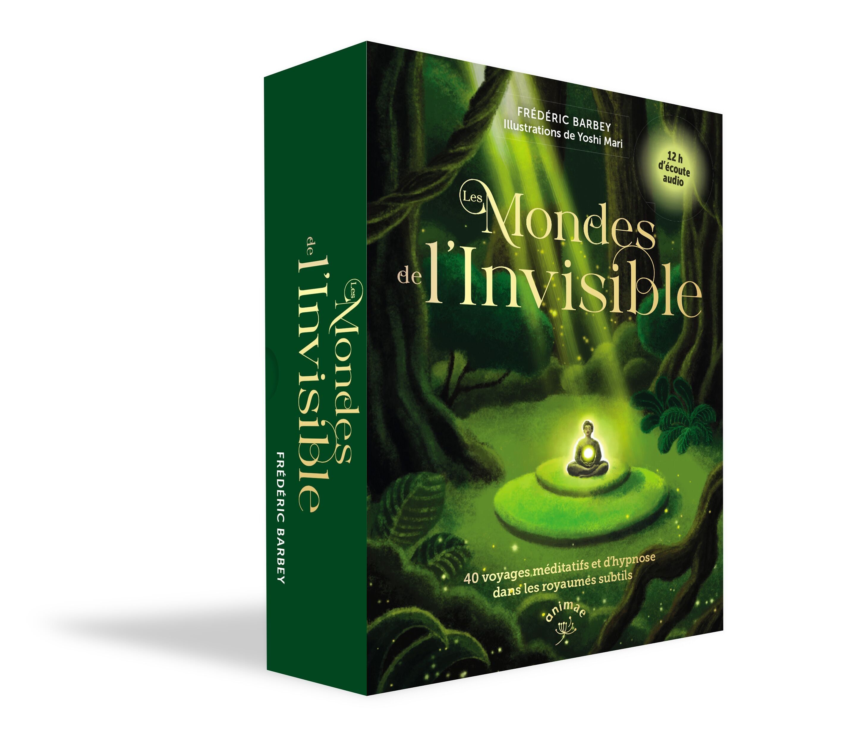 Box-Set: Die Welten des Unsichtbaren