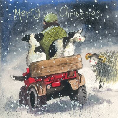 Merry Christmas Collies Dog Christmas Card Pack (Pack of 5 Cards)