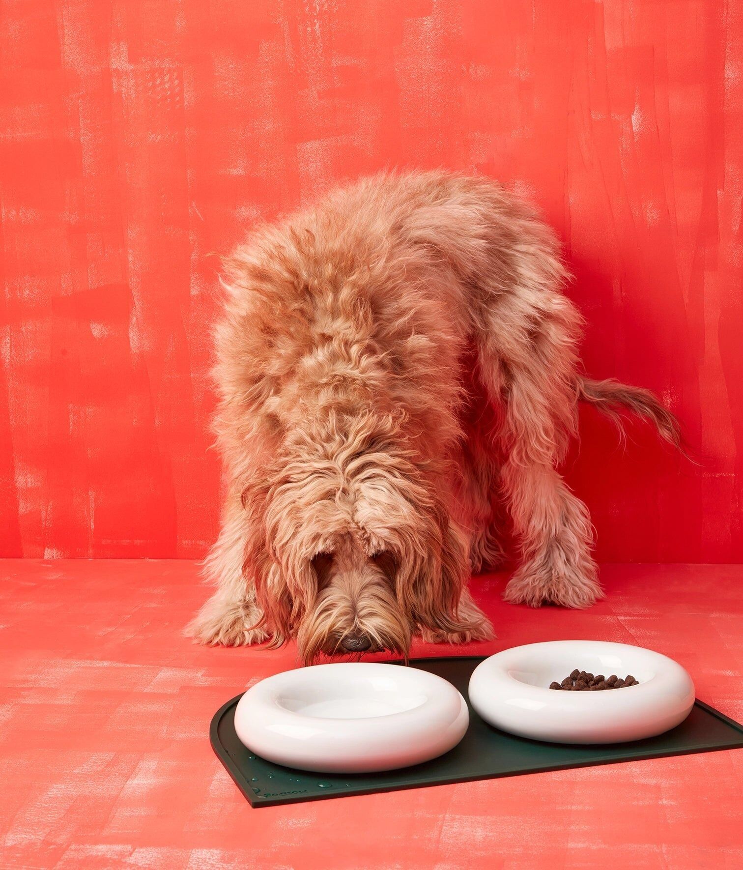 Comedero cerámico blanco para perros