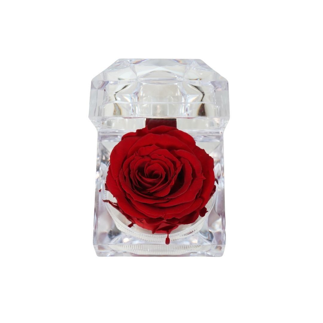 Rose rouge préservée et parfumée dans un coffret à bijoux