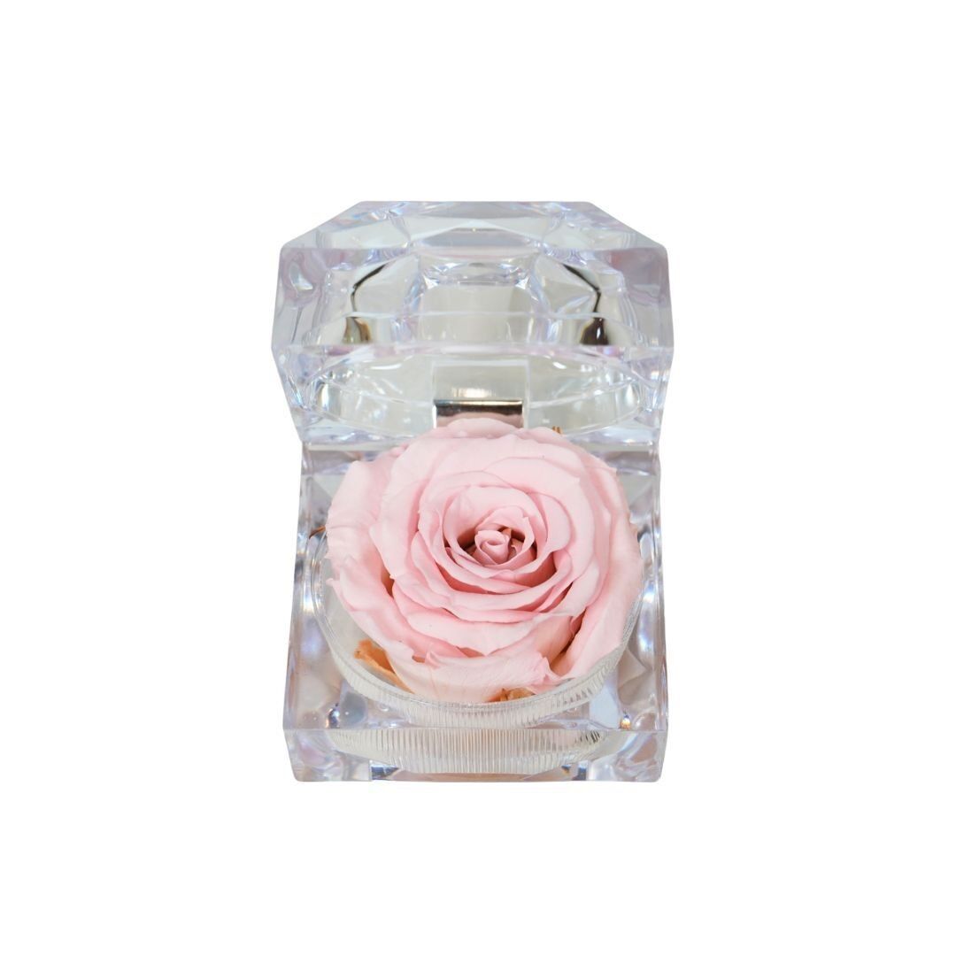 Rose rose préservée et parfumée dans un coffret à bijoux