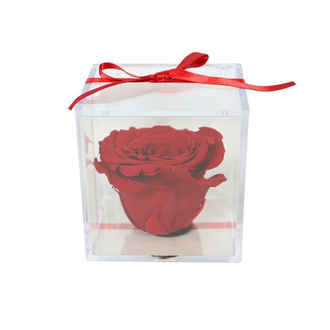 Rosa rossa conservata in scatola regalo