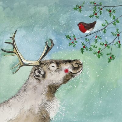 Reindeer and Robin Christmas Card Pack (Pack of 5 cards)