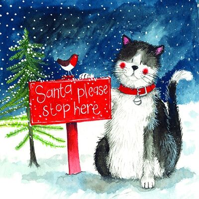 Santa Stop Here Cat Christmas Card Pack (Pack of 5 cards)