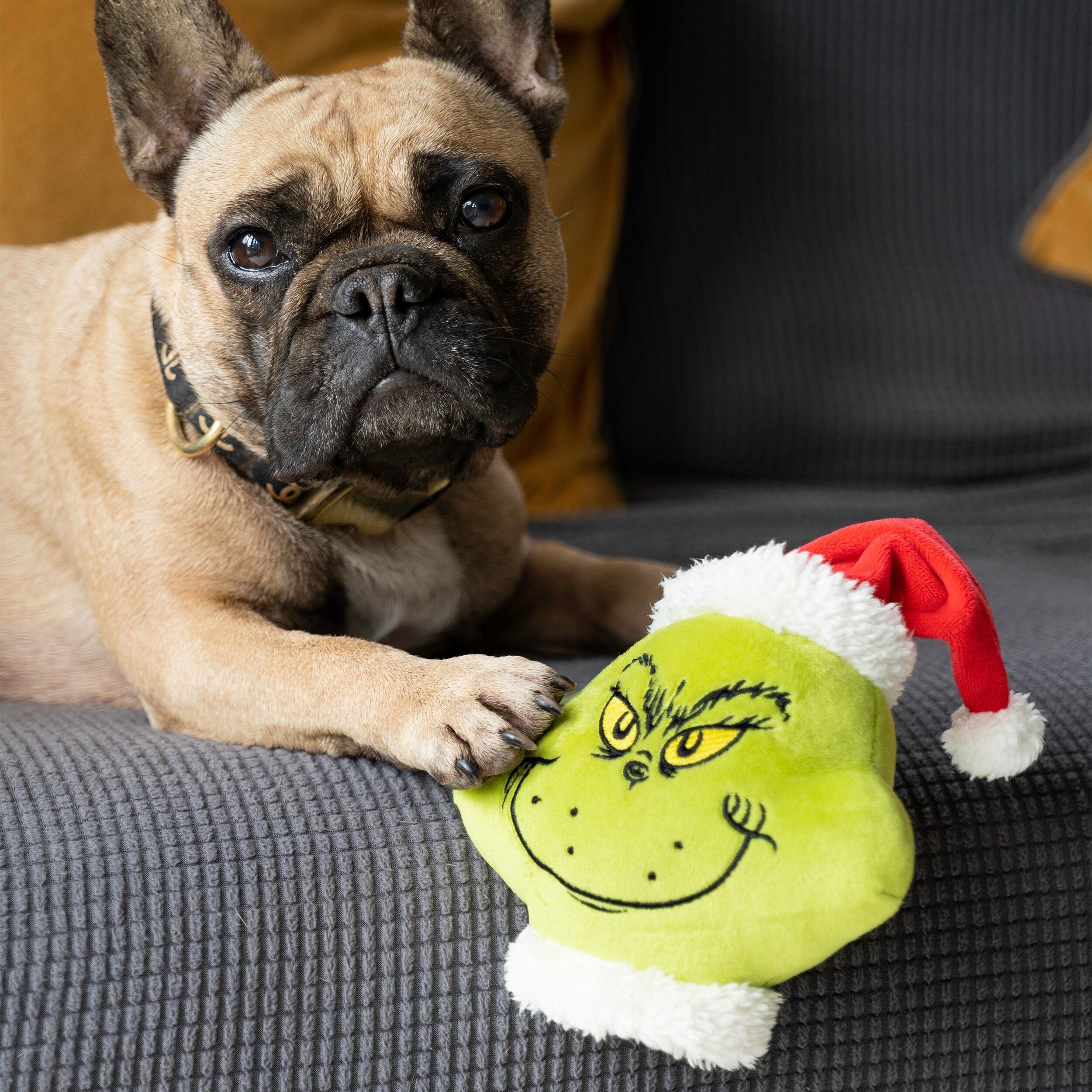 Das Grinch-Haustierspielzeug