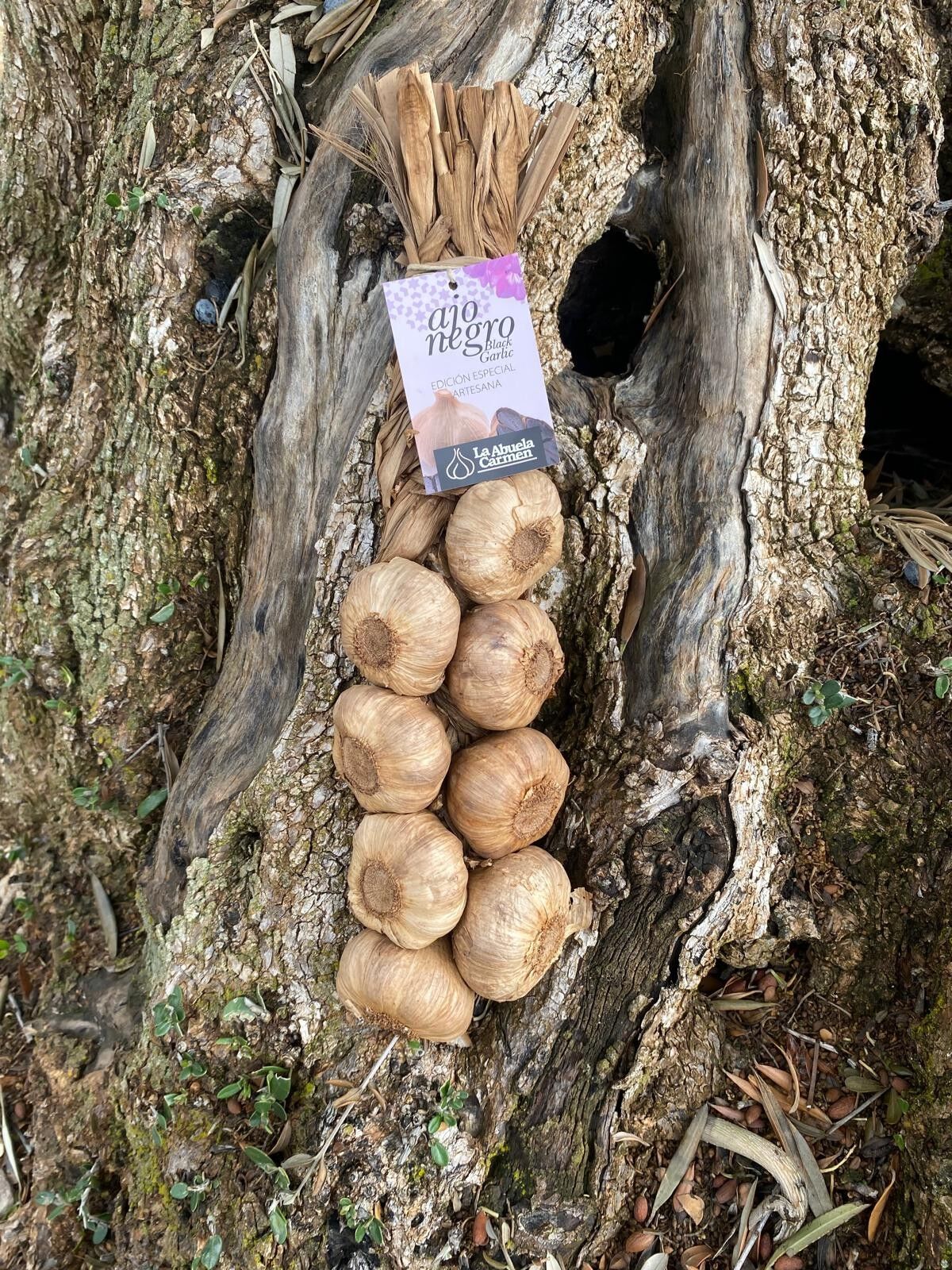 Filo d'aglio nero | Artigianale in edizione limitata