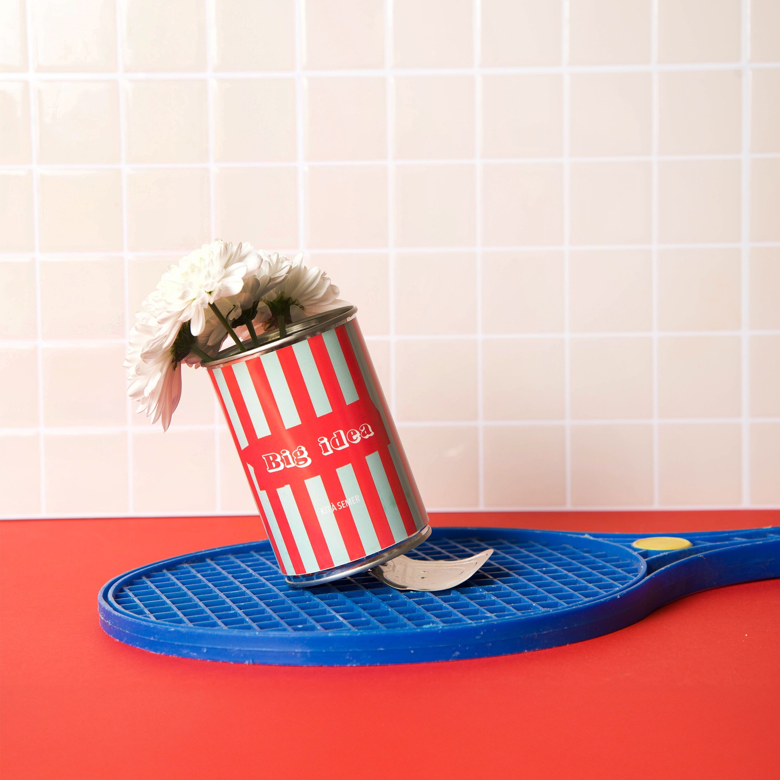 "Big Idea" seed kit made in France