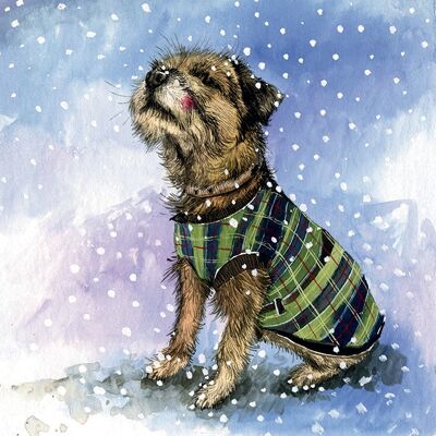 Winter Jacket Border Terrier Dog Christmas Card Pack (Pack of 5 Cards)