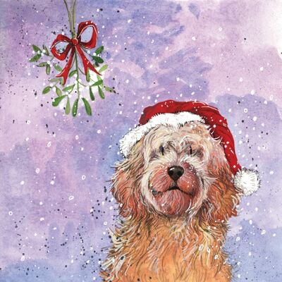 Christmas Cockapoo Dog Card Pack (Pack of 5 Cards)
