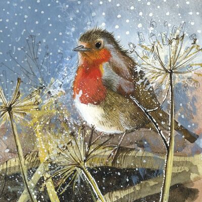 Festive Robin Christmas Card Pack (Pack of 5 Cards)