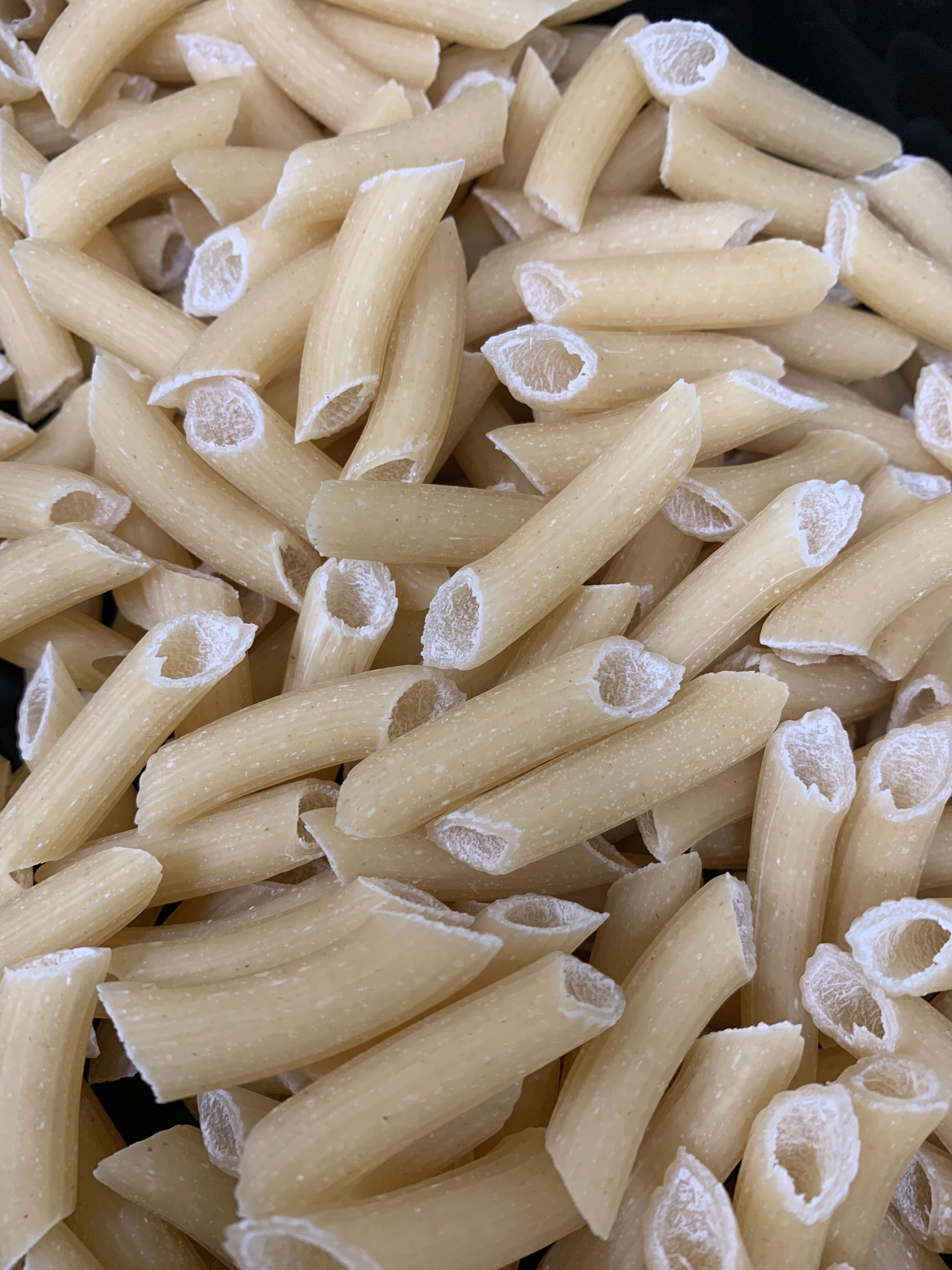 Pâtes - Penne Rigate Bio vrac 5kg