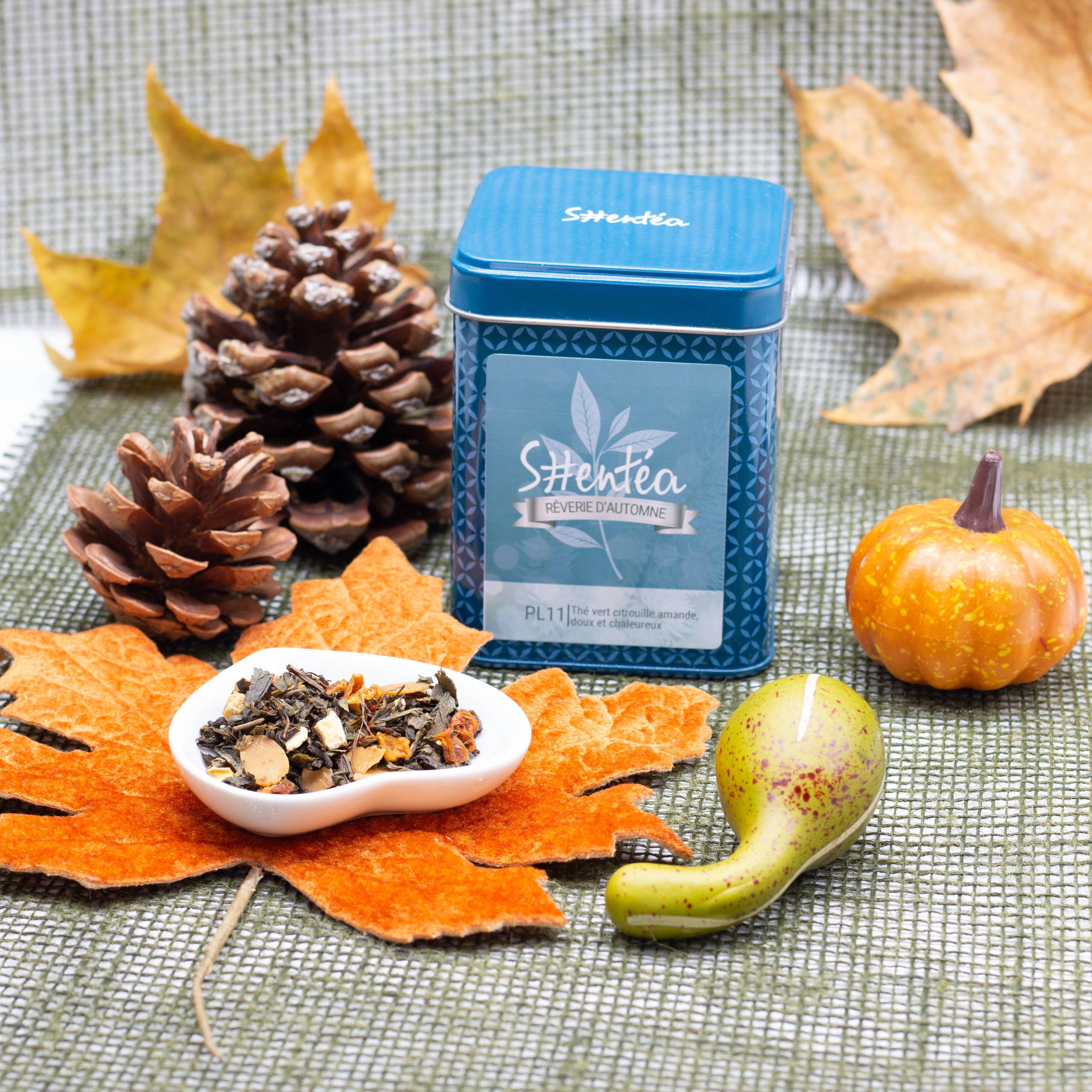 Tè verde gourmet - Tè verde alla zucca e alle mandorle - AUTUMN REVERIE - 130 g - Lattina di metallo premium in foglie sfuse