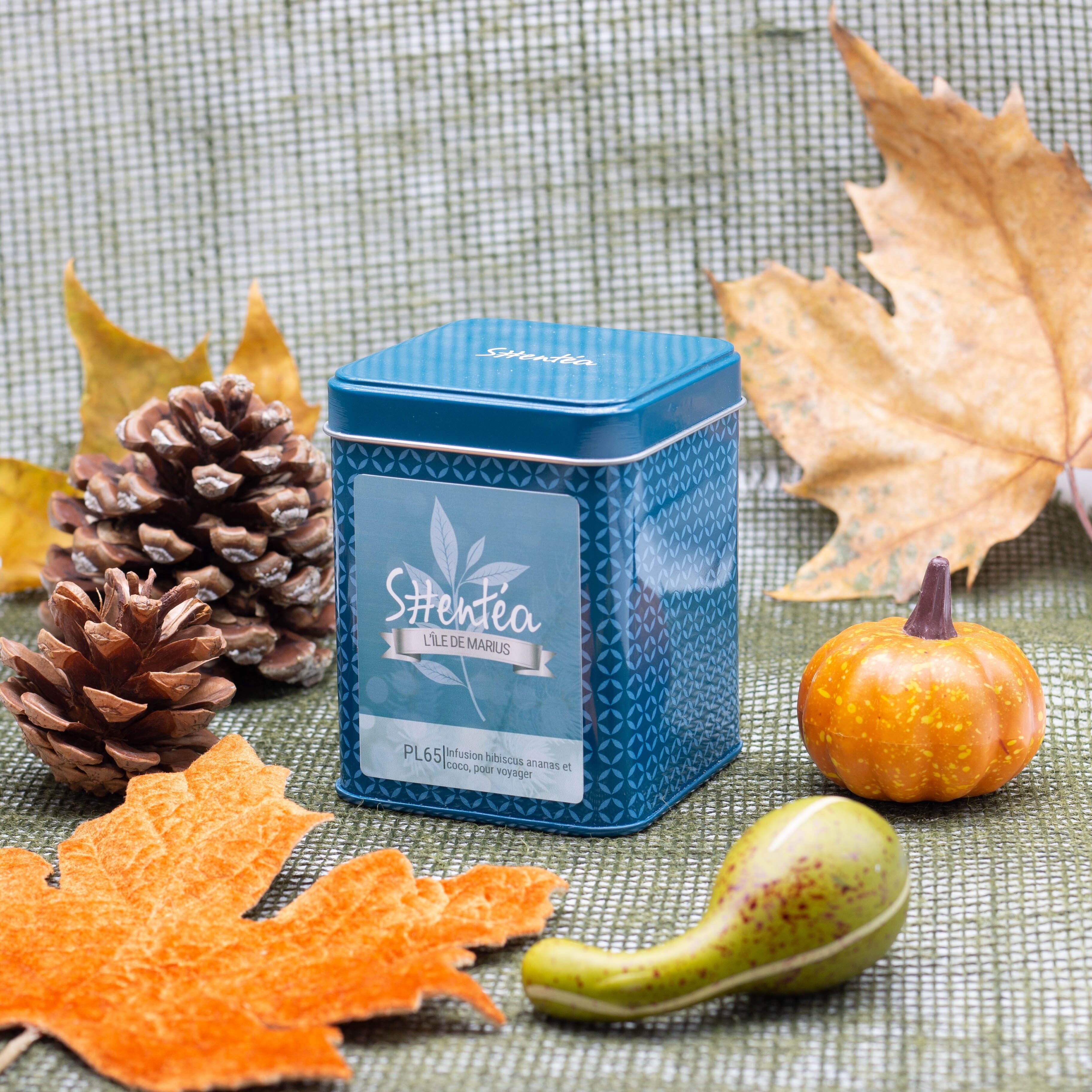 Infuso di frutta tropicale - Infuso di cocco e ananas - Marius' Island - 150 g - Foglie sfuse premium in una scatola di metallo