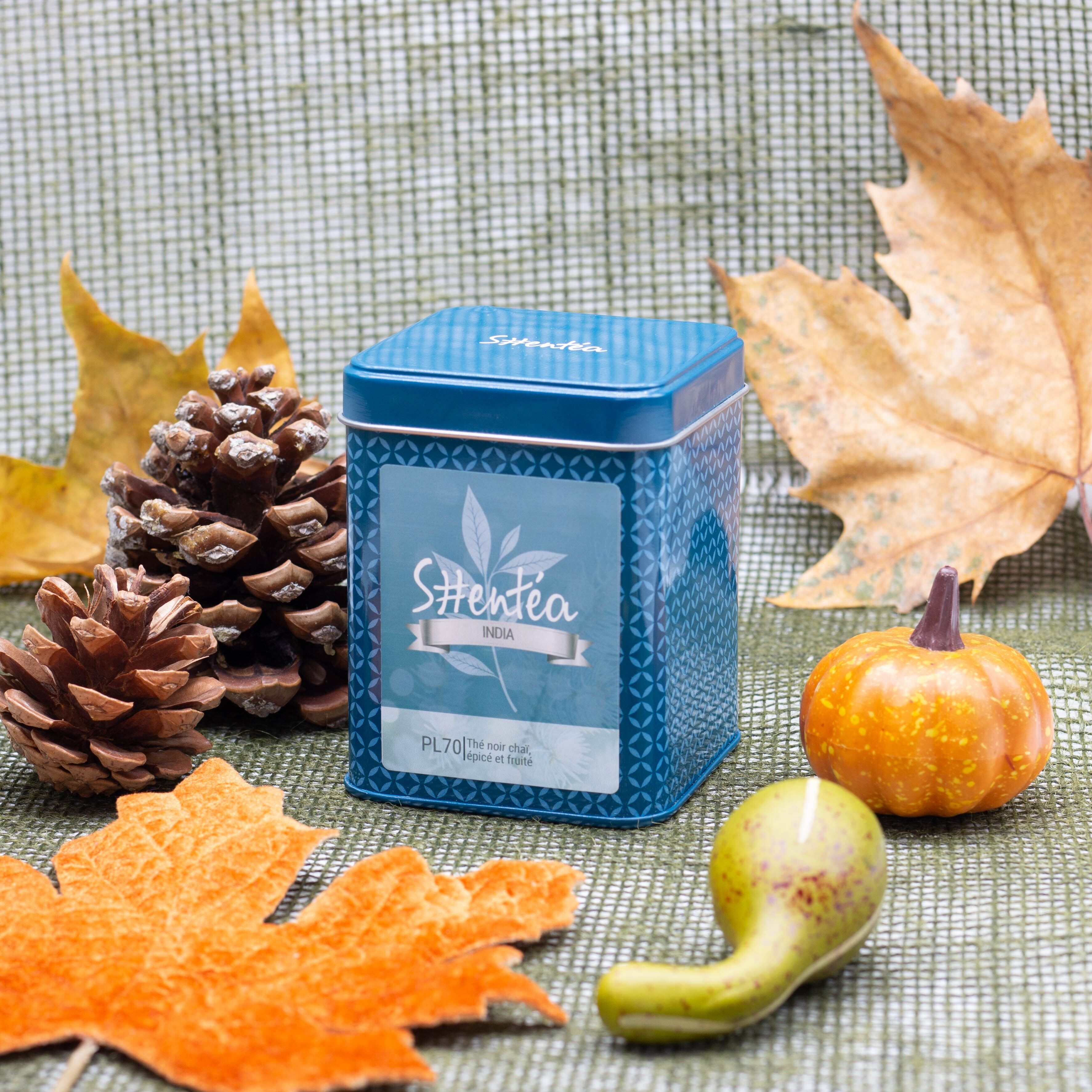 Tè nero tradizionale - Tè nero Chai biologico - India - 100 g - Foglia sfusa premium in lattina di metallo