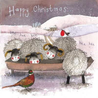 Happy Christmas Sheep Dinner Card Pack (Pack of 5 Cards)