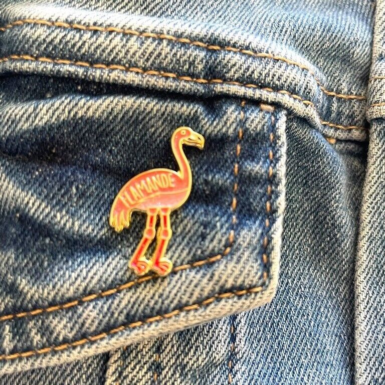 Pin’s flamande