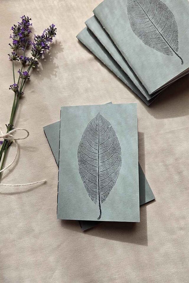 Carnet Pocket A6 Monotype Végétal Feuille de Saule de Bab