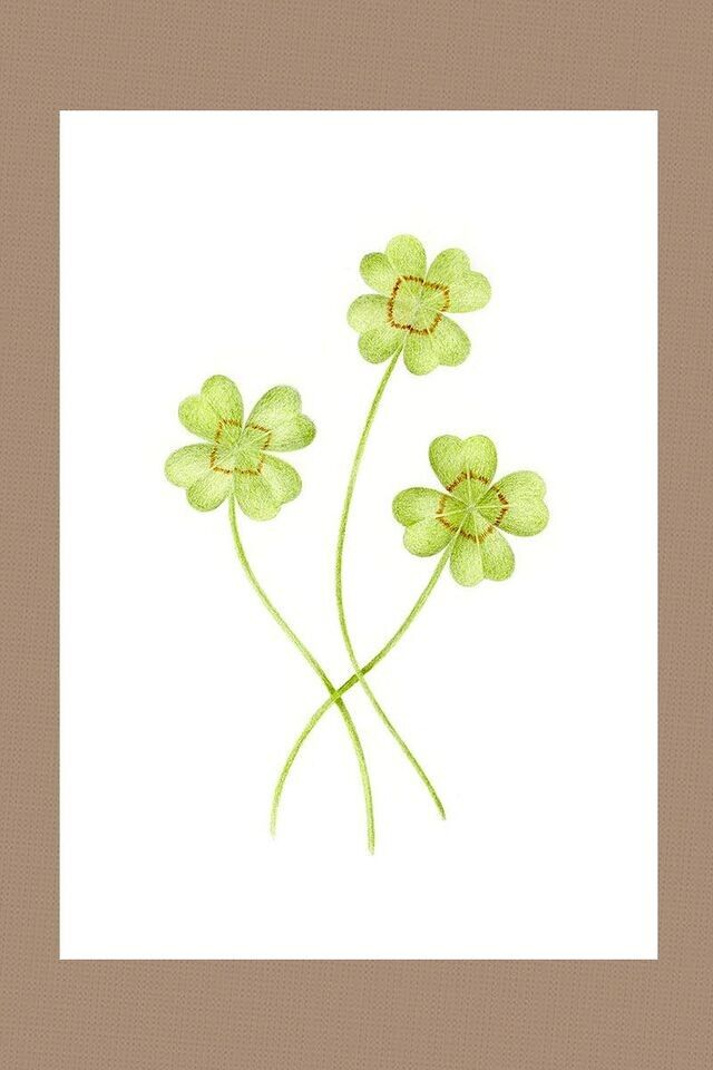 Illustrazione 3 tris à 4 foglie