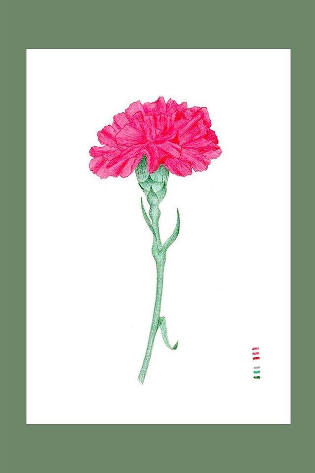 Ilustración de flor de ojo