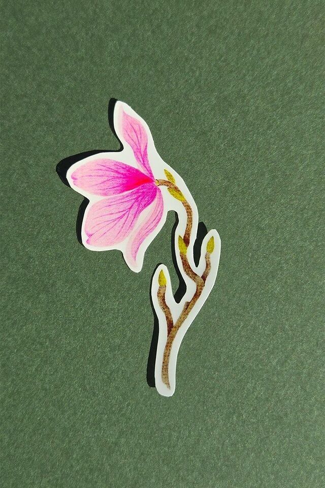 Autocollant fleur de magnolia