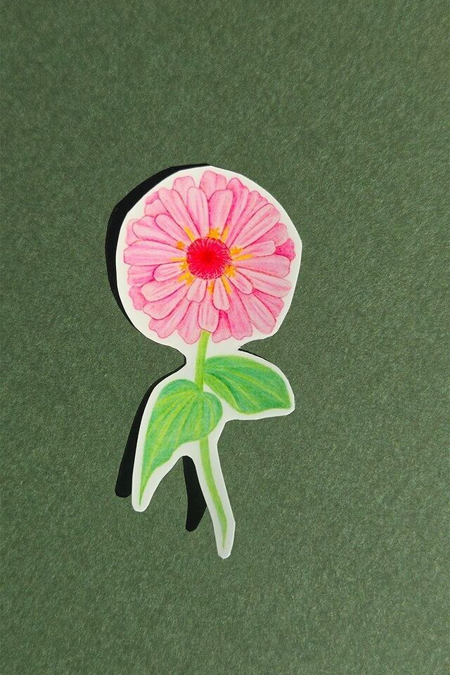 Autocollant fleur de zinnia