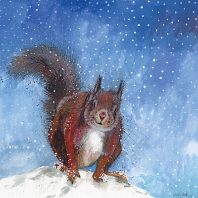 Red Squirrel Christmas Card Pack (Pack of 5 Cards)