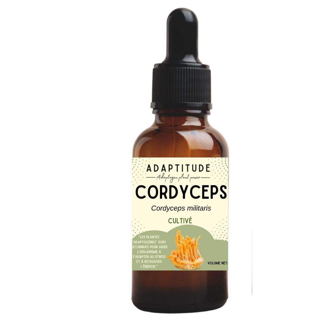 Estratto di Cordyceps