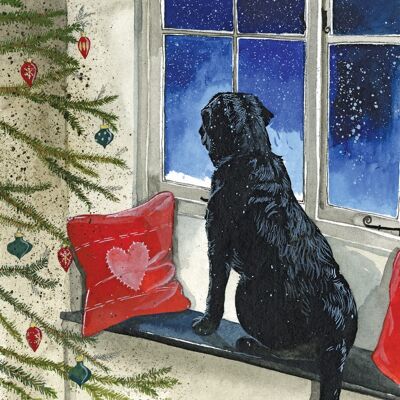 Lucy's The Dog Christmas Card Pack (Pack of 5 cards)