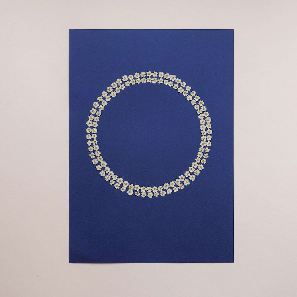 Mondlicht-Herbarium A4