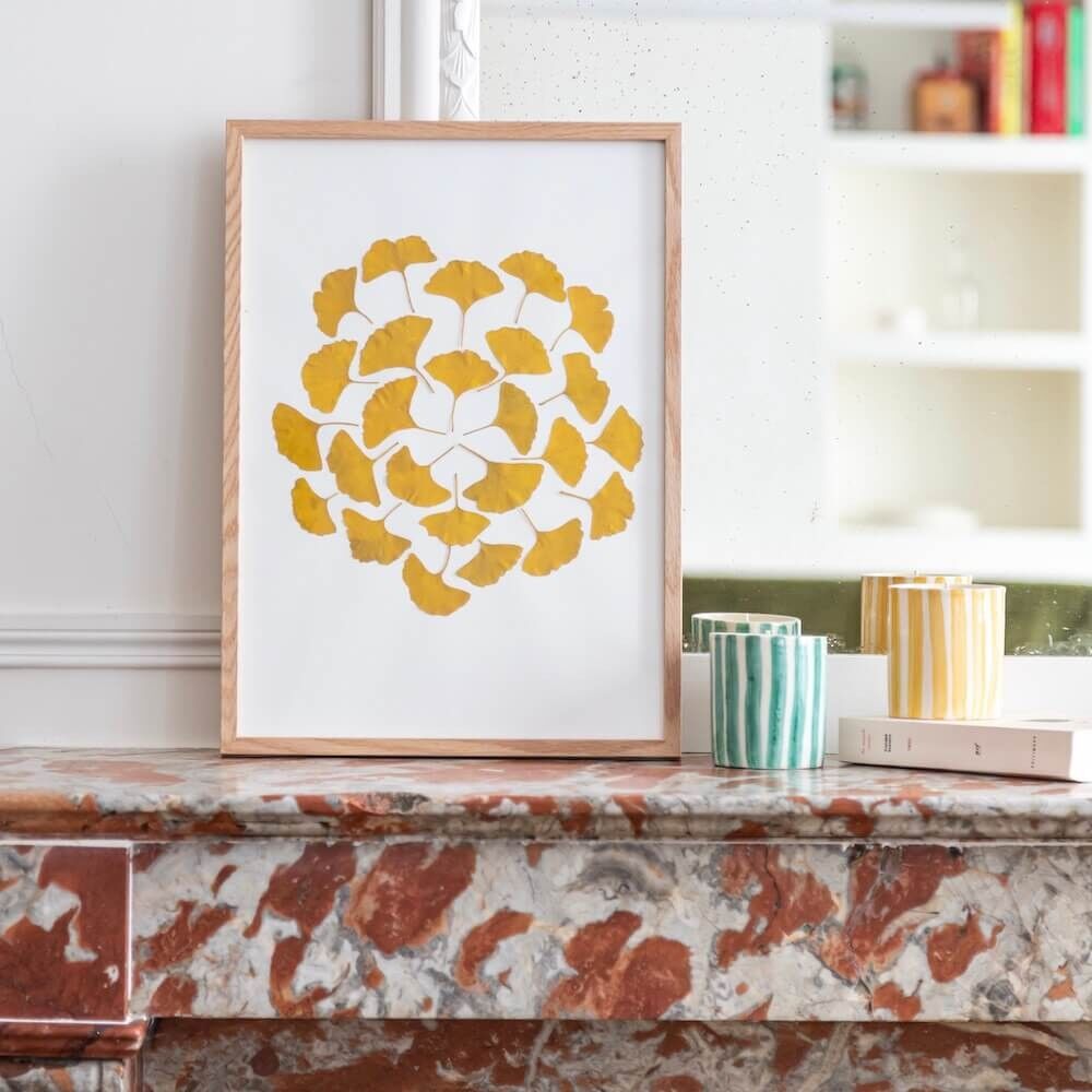 Ginkgo Farendole Herbarium A3