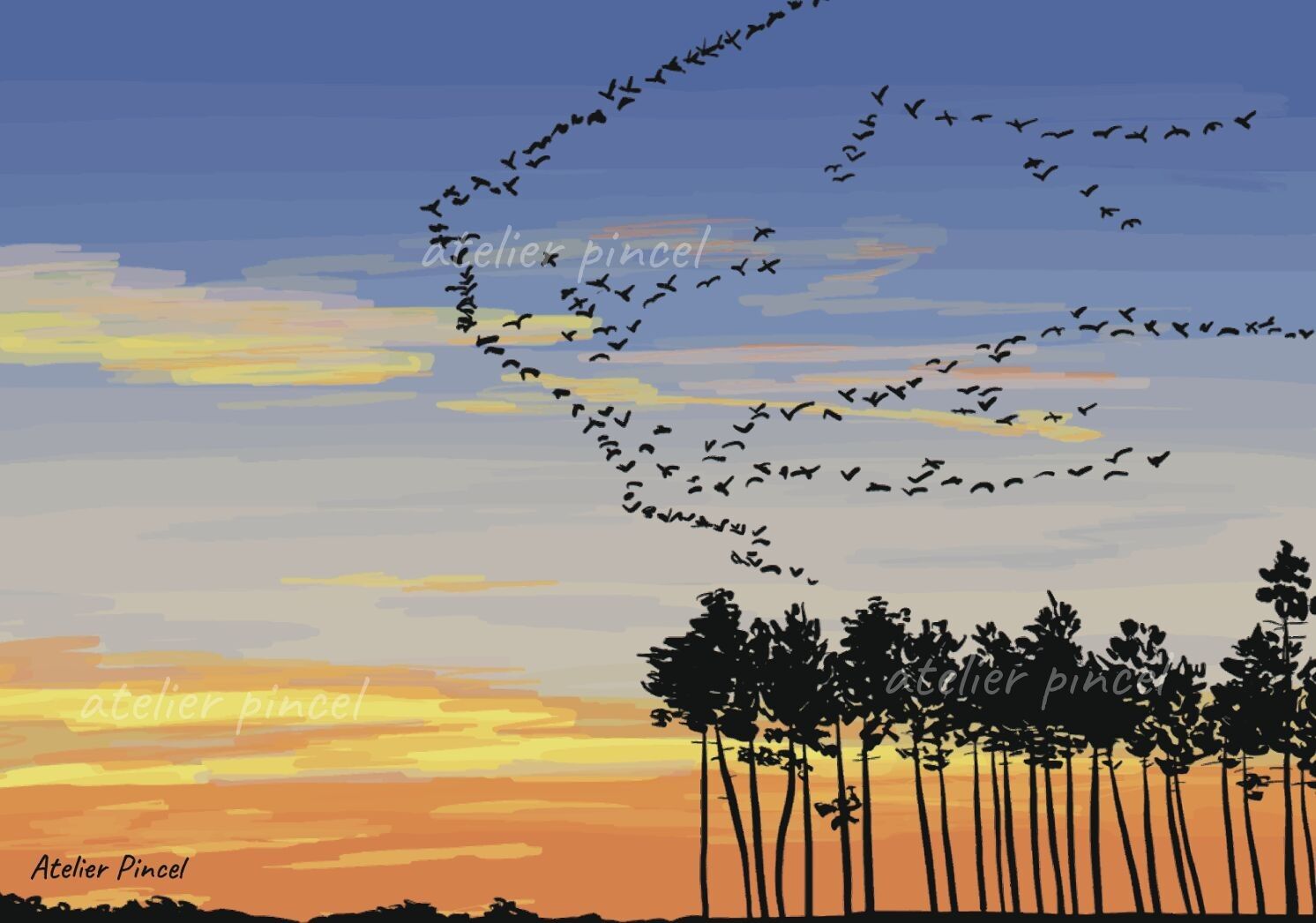 Carte postale - Migration Grues - Landes - Sud Ouest