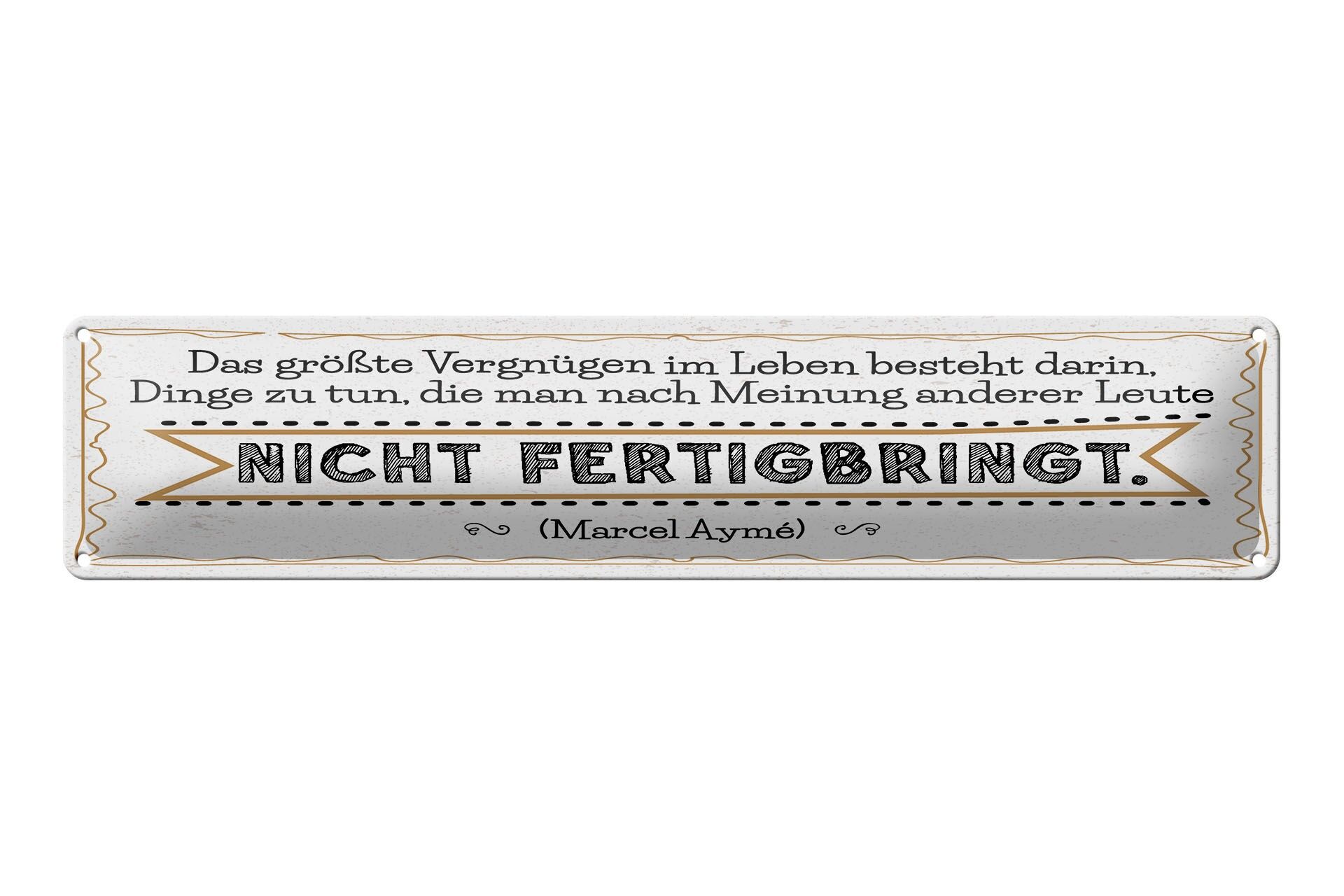 Blechschild Spruch 46x10 cm Vergnügen Dinge zu tun, die nach Meinung anderer
