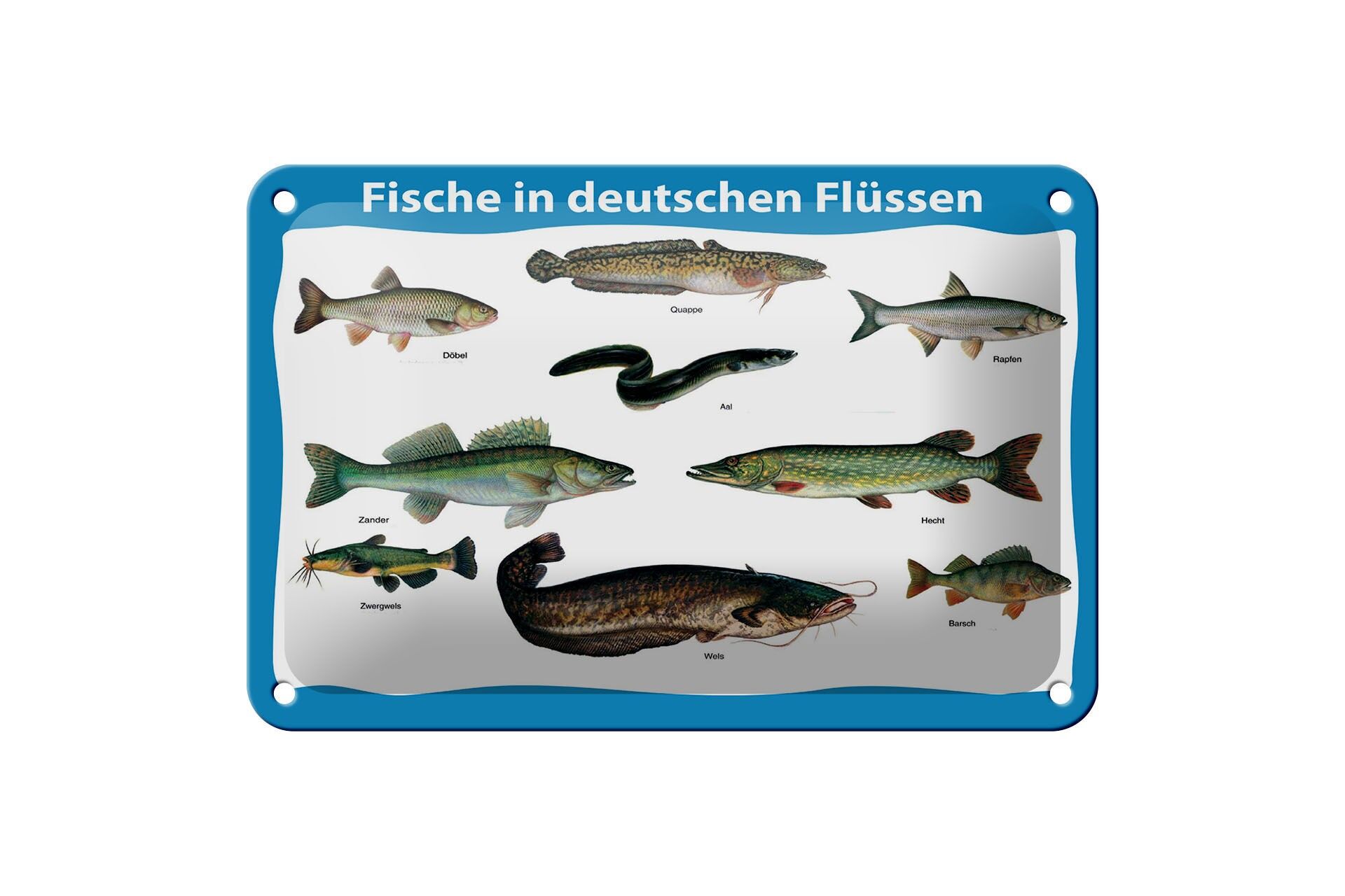 Cartello in metallo, animali, 12x18 cm, pesci nei fiumi tedeschi, varie specie di pesci