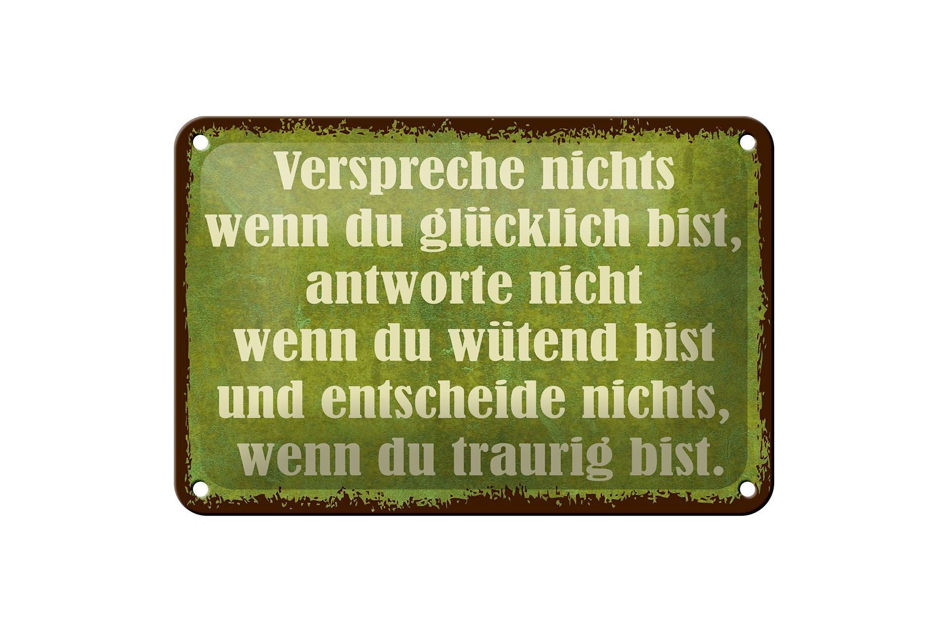 Blechschild Spruch 12x18 cm verspreche nichts wenn du glücklich bist Schild