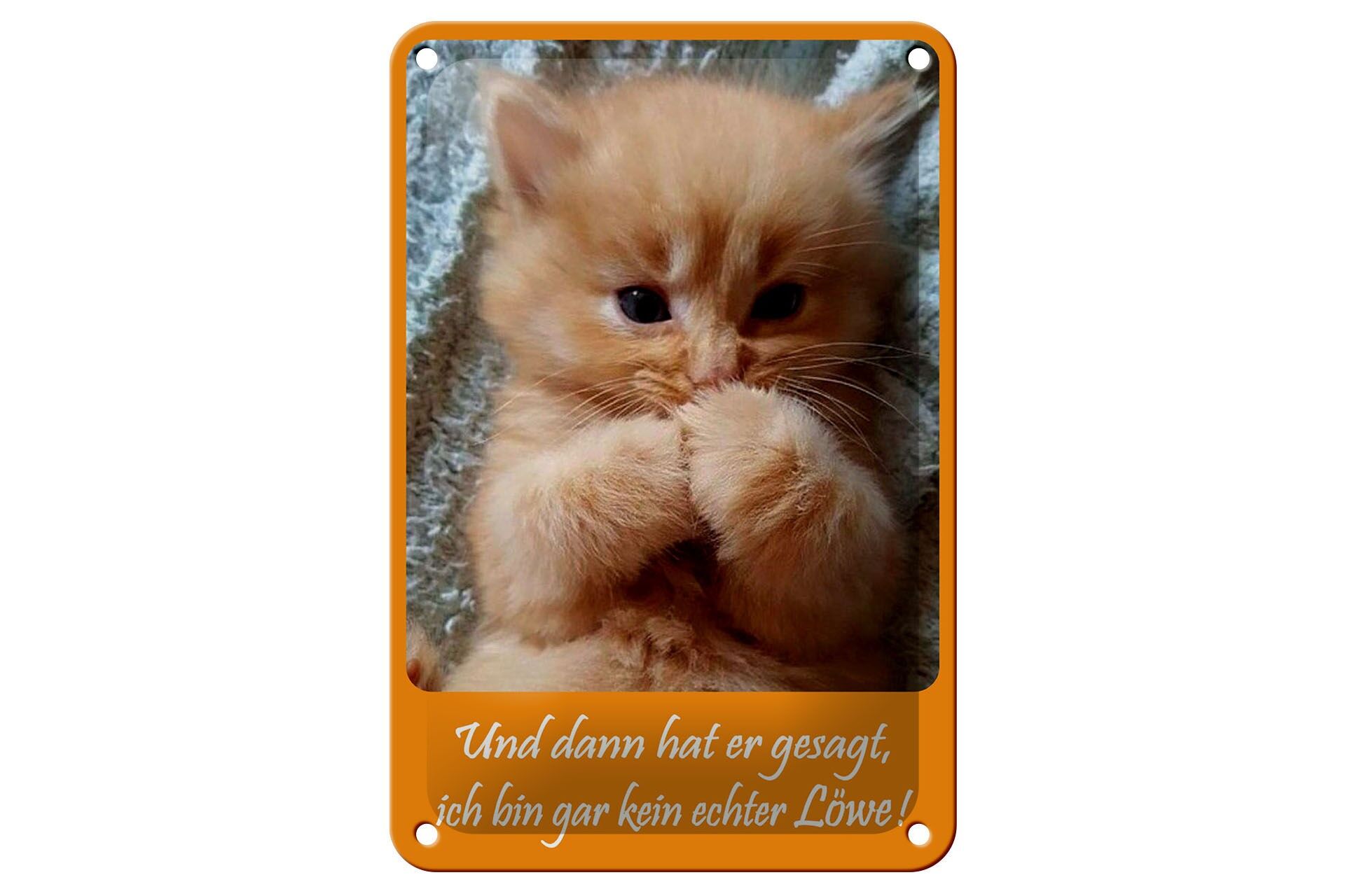 Blechschild Tiere 12x18 cm Katzen Baby ich bin gar kein Löwe Deko Schild