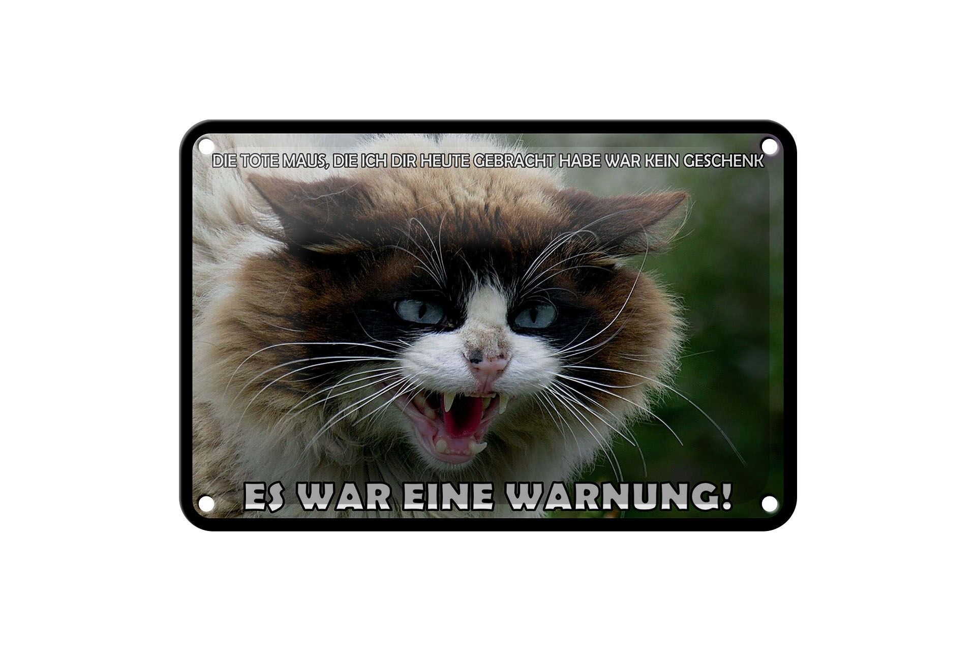 Blechschild Tiere 12x18 cm Katze Die tote Maus war eine Warnung Deko Schild