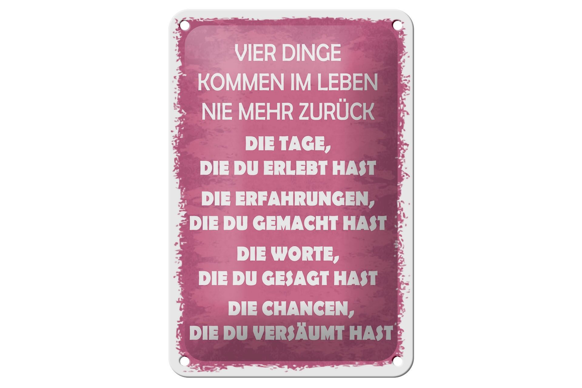 Blechschild Spruch 12x18 cm Vier dinge kommen im Leben nie mehr zurück Schild