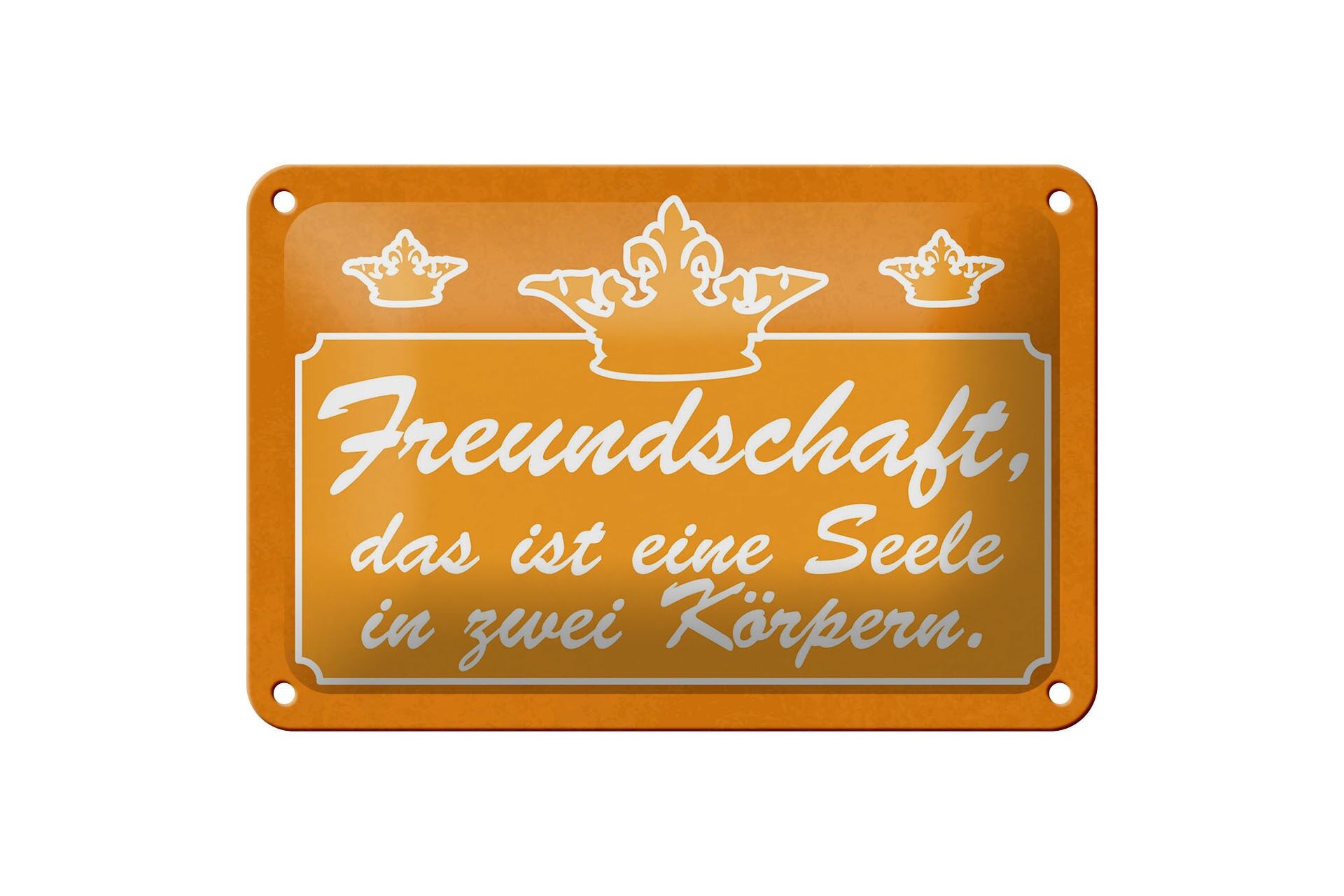 Blechschild Spruch 12x18 cm Freundschaft, das ist eine Seele in zwei Körpern