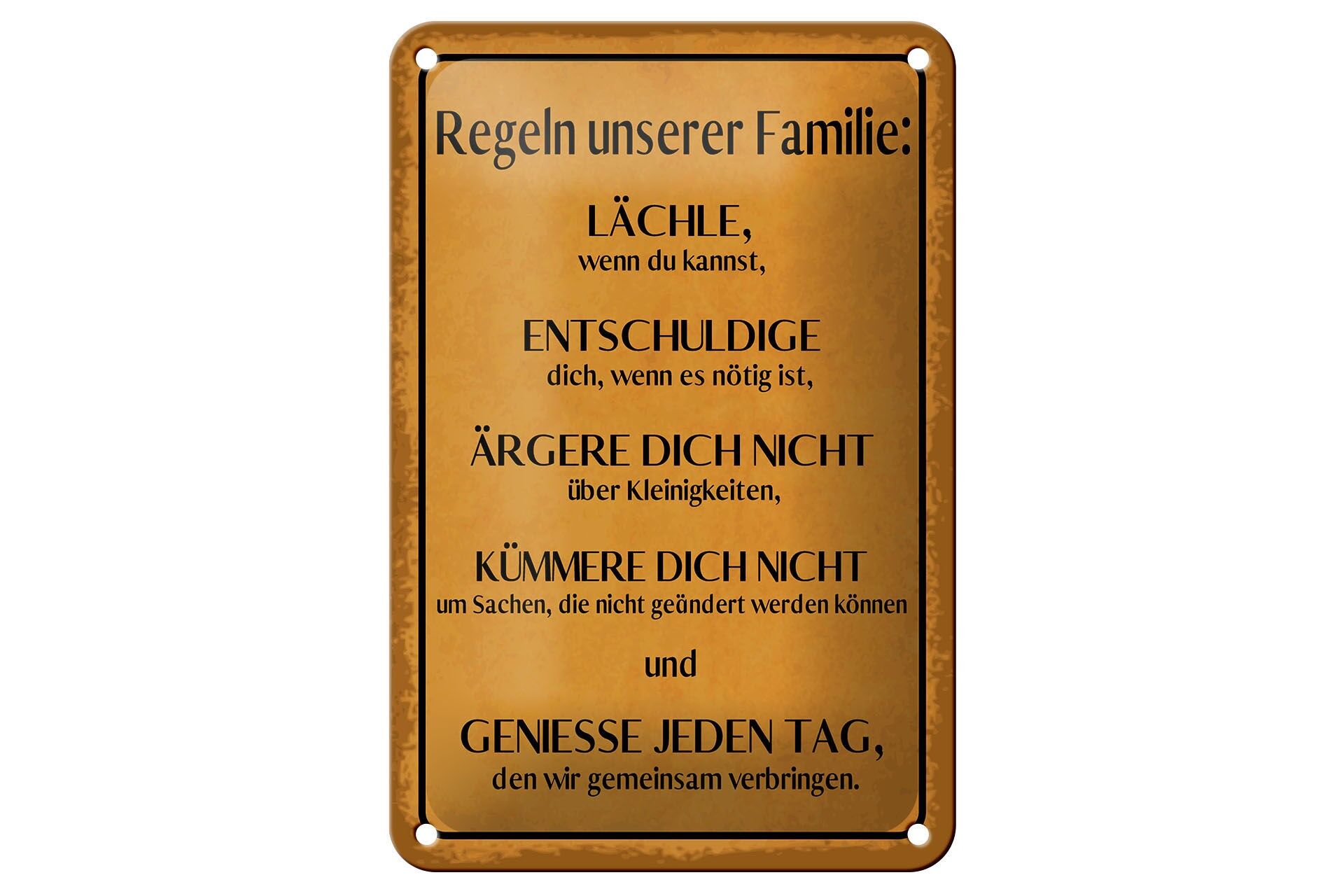 Blechschild Spruch 12x18 cm Regeln unserer Familie Deko Schild