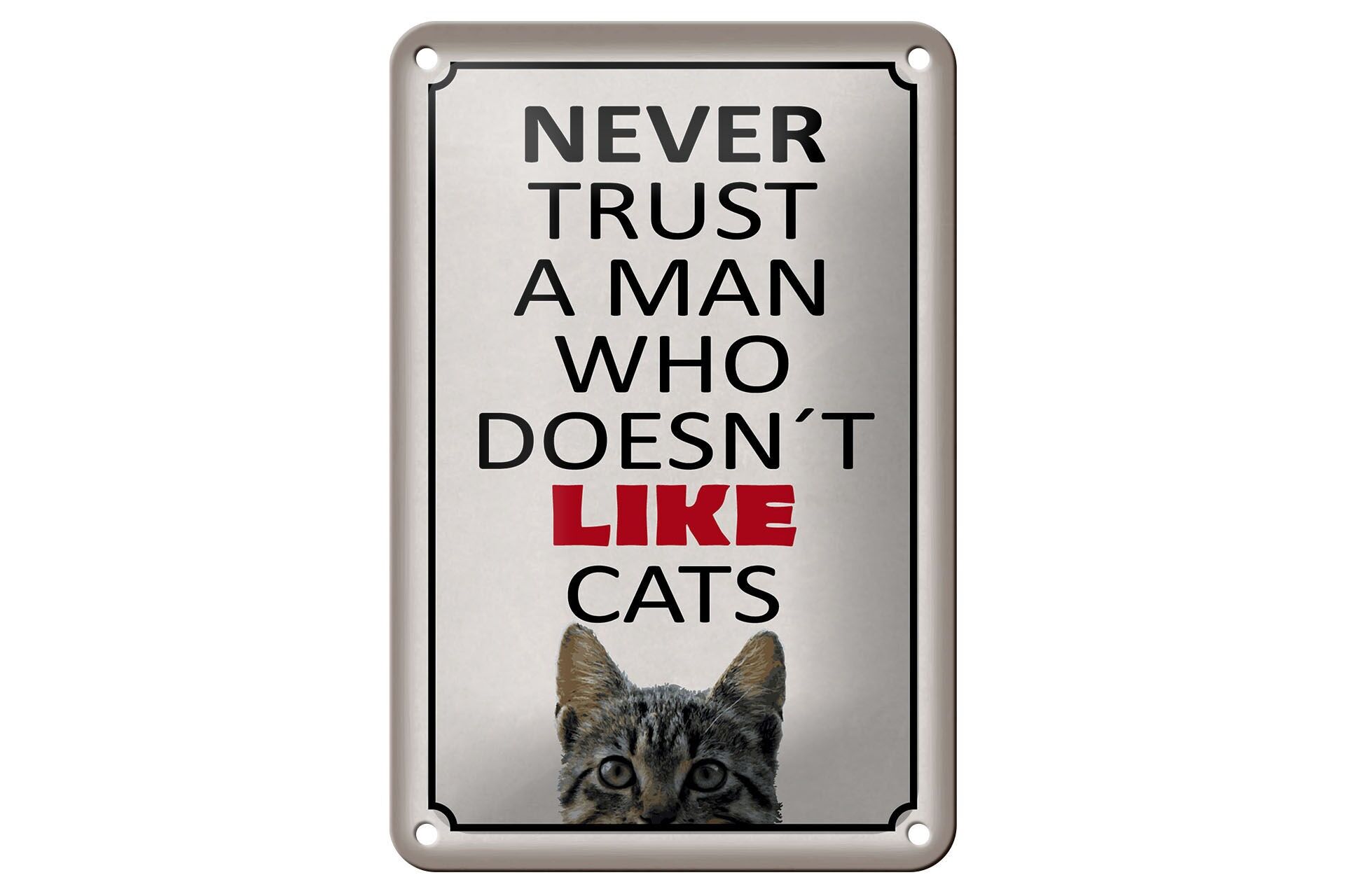 Blechschild Spruch 12x18 cm Never trust a man who dosent like cats Deko Schild