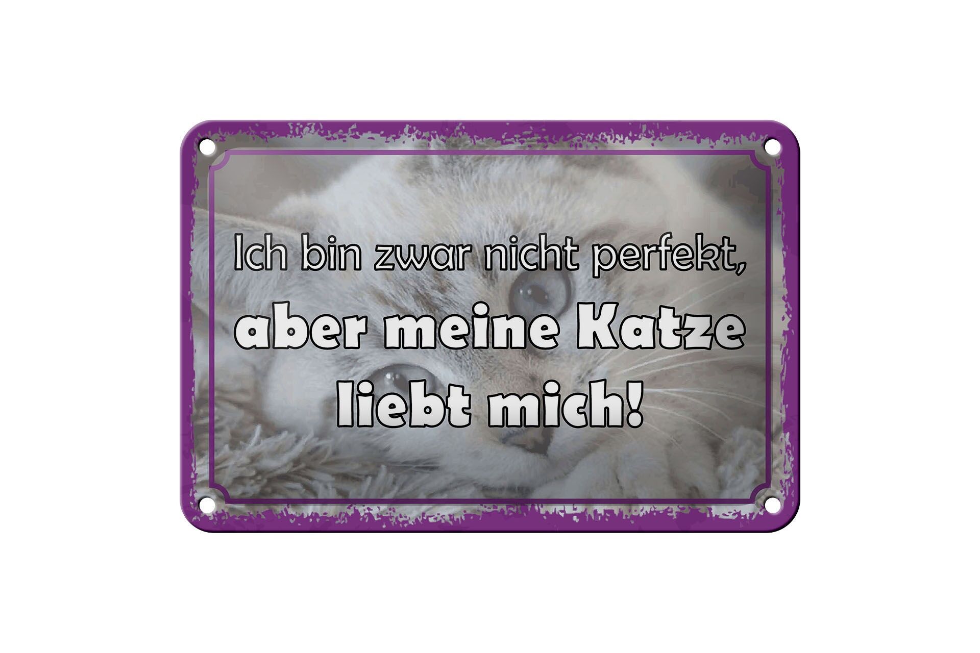Cartello in metallo con scritta, 12x18 cm, "Non è perfetto, ma il mio gatto mi ama".