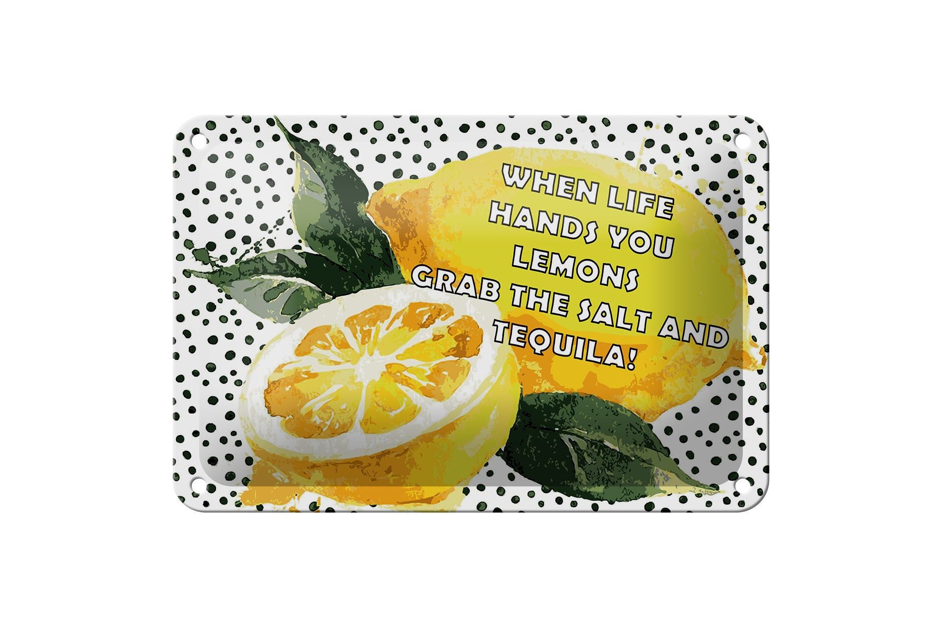 Blechschild Spruch 12x18 cm When life hands you Lemons grab the Salt and Tequila