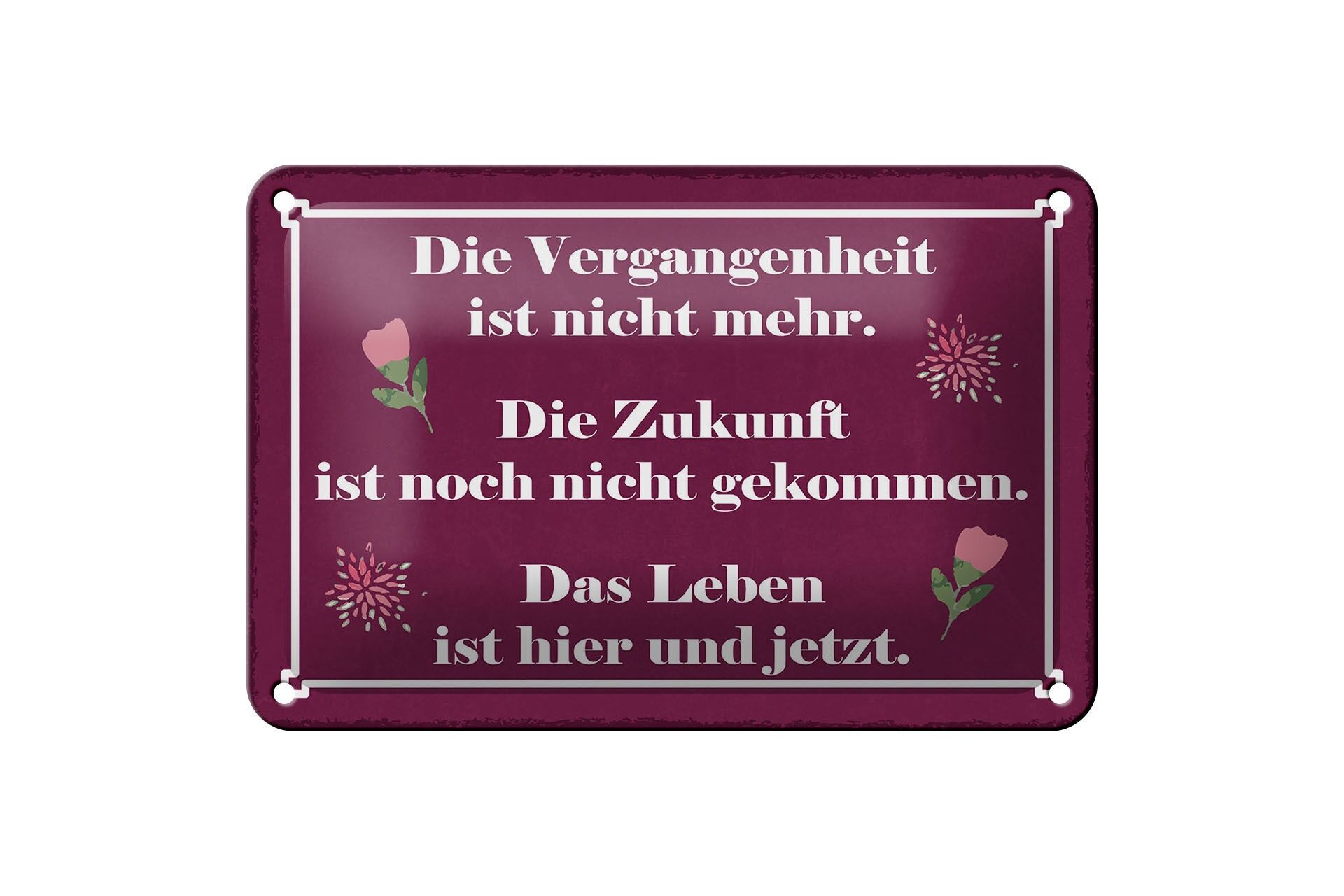 Blechschild Spruch 12x18 cm Die Zukunft ist noch nicht gekommen Deko Schild