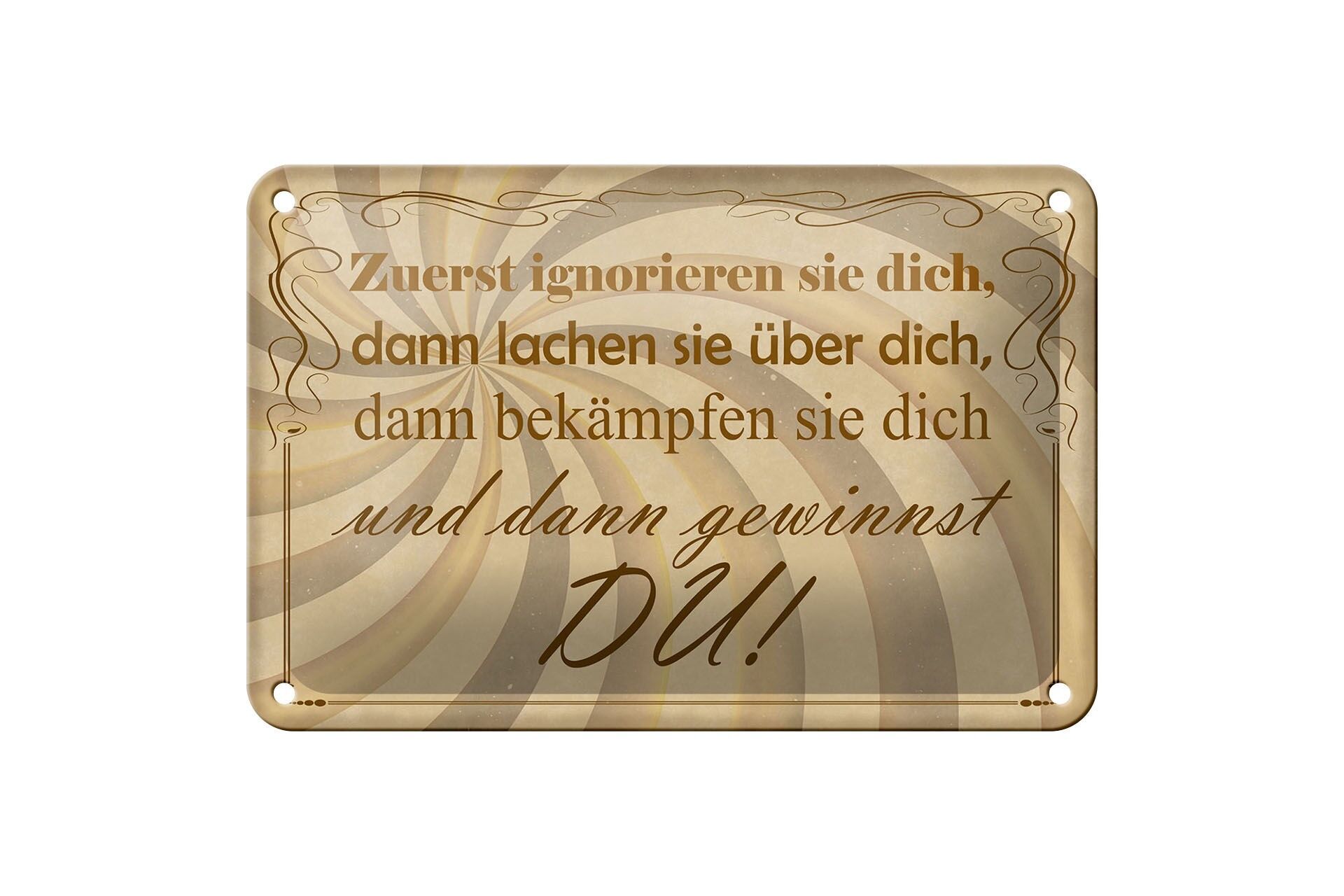 Blechschild Spruch 12x18 cm Zuerst ignorieren sie dich Deko Schild