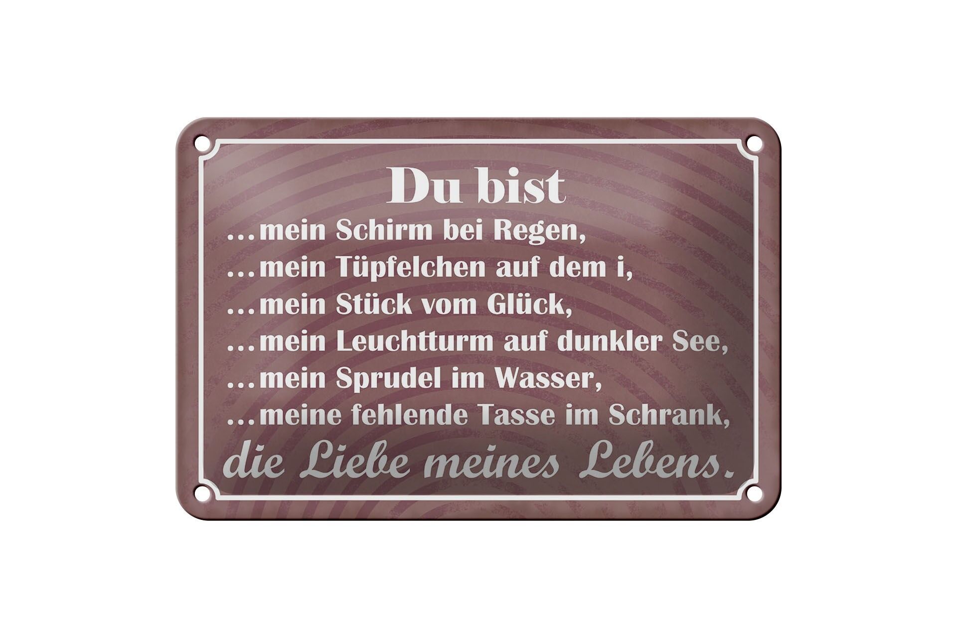 Blechschild Spruch 12x18 cm Du bist die liebe meines Lebens Deko Schild