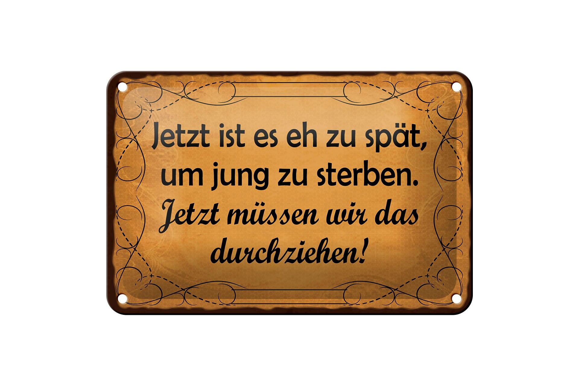 Blechschild Spruch 12x18 cm zu spät um jung zu sterben Deko Schild