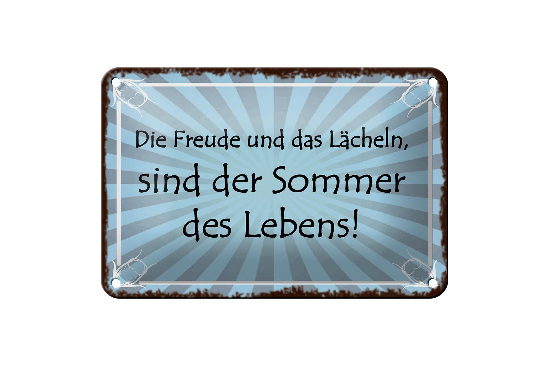 Blechschild Spruch 12x18 cm Freude und Lächeln sind der Sommer des Lebens