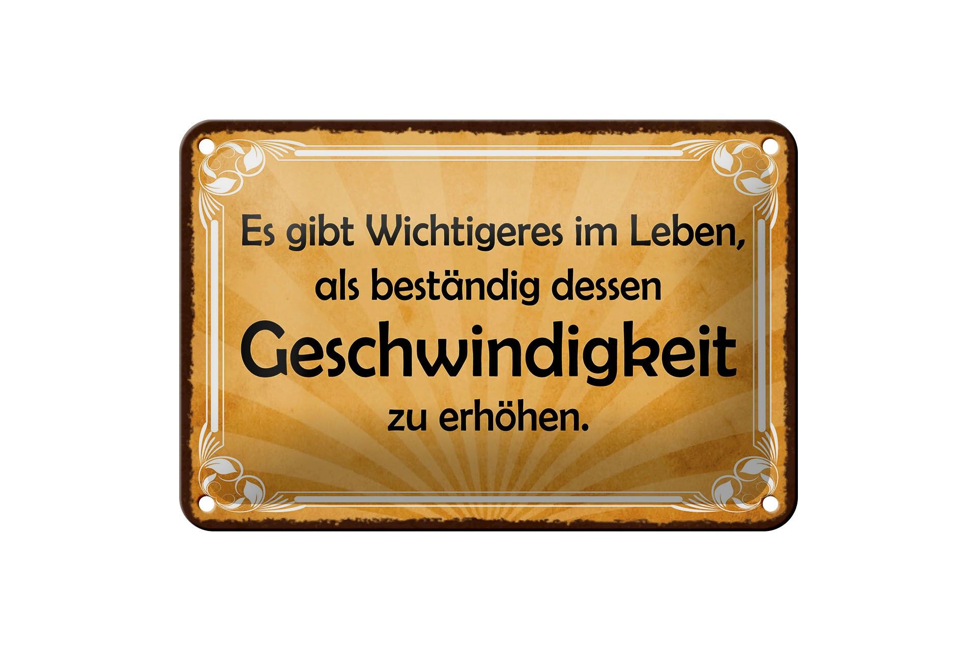 Blechschild Spruch 12x18 cm Wichtigeres im Leben, als Geschwindigkeit zu erhöhen