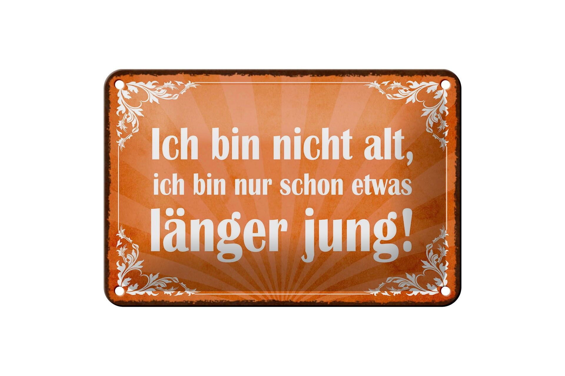 Blechschild Spruch 12x18 cm Ich bin nicht alt, nur etwas länger jung Deko Schild
